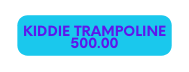 kIDDIE TRAMPOLINE 500 00